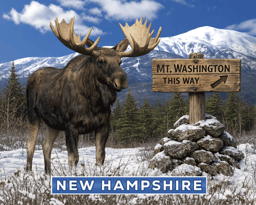 Animated Mount Washington moose magnet design